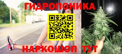 дмт Тара
